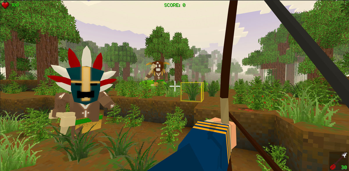 Pirates of Voxel Play