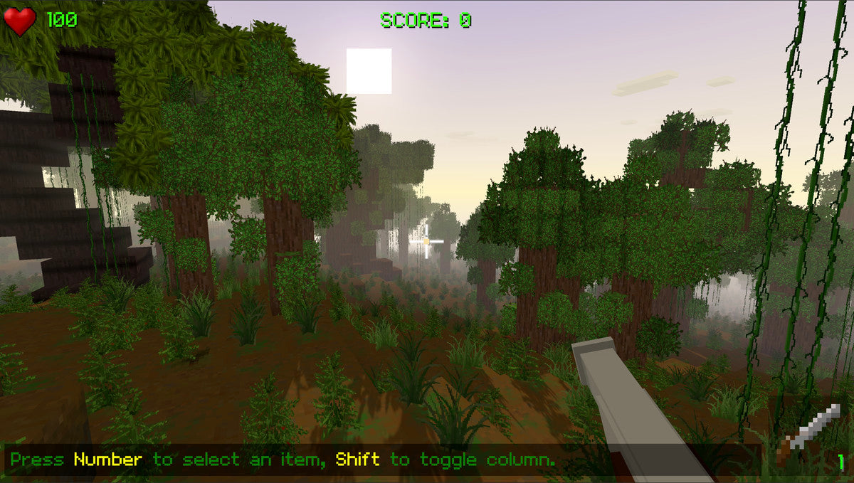 Pirates of Voxel Play