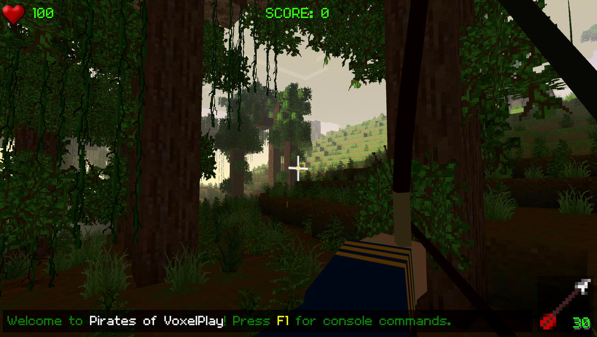 Pirates of Voxel Play