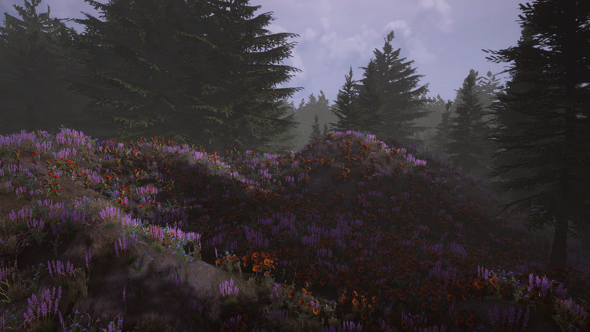 Dynamic Fog & Mist 2